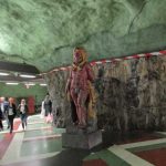 IMG_0244