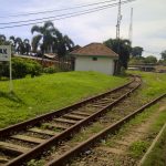 merak 5