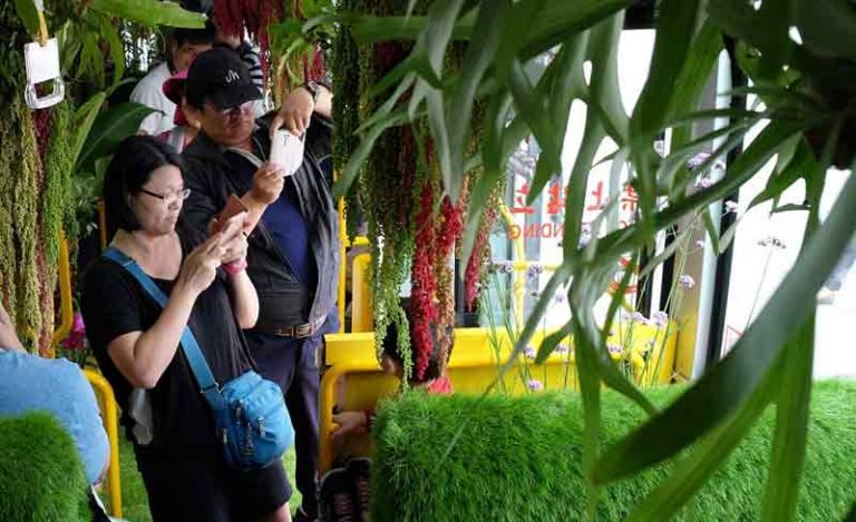 Bus Berkonsep Alam di Taipei Tuai Banyak Pujian dari Netizen