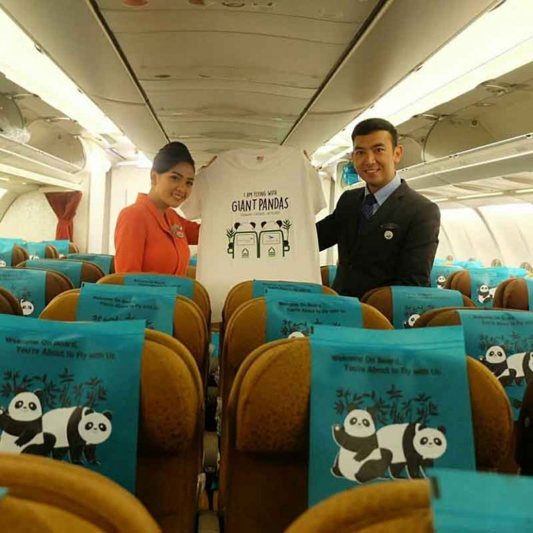 Angkut Giant Panda, Garuda Indonesia Dandani Airbus A330 dengan Tema dan Livery Khusus