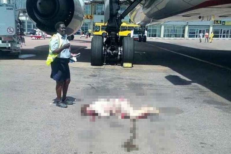 Pramugari Emirates Lompat dari Pesawat, Akhirnya Tewas Sehari Setelah Jalani Perawatan