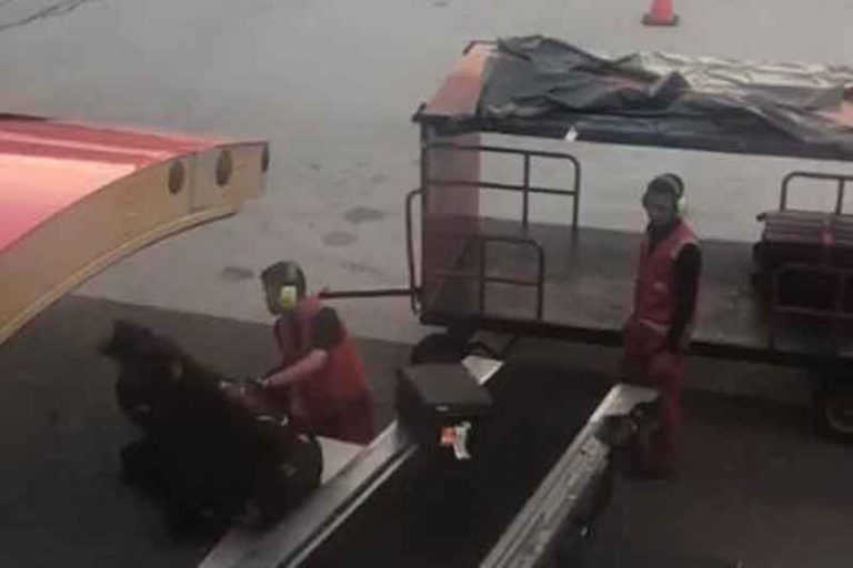 Video Ground Crew Lempar Bagasi Menjadi Viral, AirAsia Minta Maaf