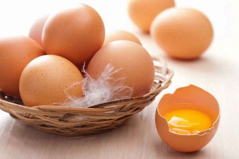 Restoran dan Katering di Bandara Praha Gunakan Telur dari Ayam yang Tidak Dikandangkan