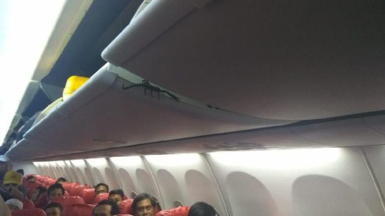 Hiiii! Ada Kalajengking di Penerbangan Lion Air Pekanbaru – Jakarta