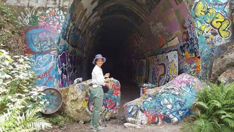 Ernest Junction, Bekas Terowongan Kereta yang Kondang Jadi Obyek Grafiti