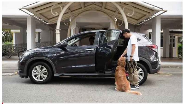 GrabPet Hadir Untuk Angkut Hewan Piaraan di Singapura