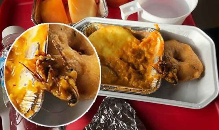 Menjijikan, Ada Kecoa di Makanan ‘Bersegel’ Pada Penerbangan Full Service Air India