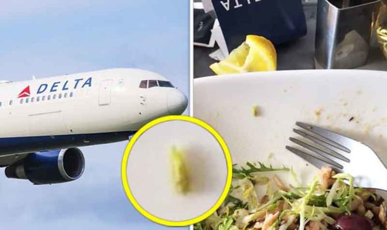 Ngeri…! Di Makanan Kelas Satu Delta Airlines Ada Belatungnya!