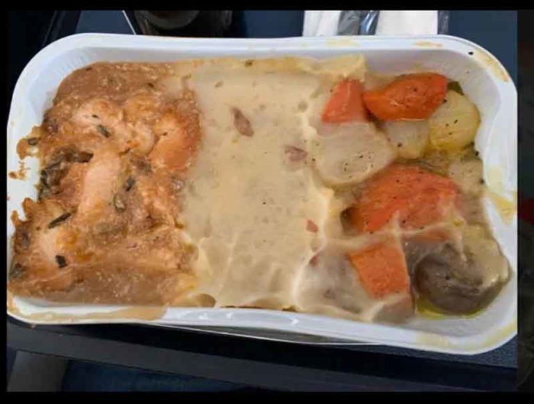 Dapat Hidangan Mirip Makanan Anjing, Penumpang ini Kecewa Pada British Airways