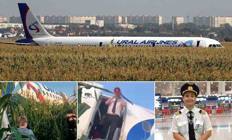 Mesin Dihantam Bird Strike, Airbus A321 Ural Airlines Hard Landing di Ladang Jagung