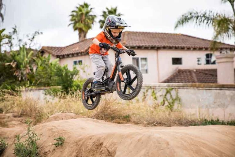 Harley Davidson Luncurkan “The Iron,” Sepeda Keseimbangan Buat Anak 3 Tahun!