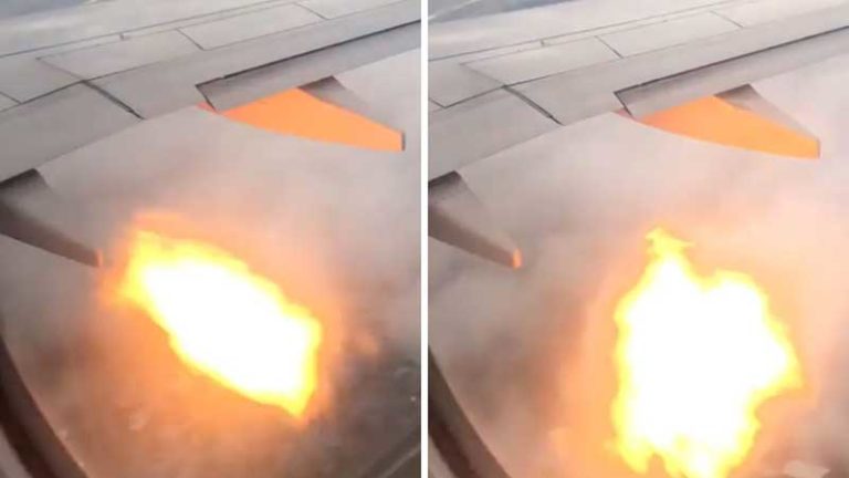 Mesin Keluarkan Lidah Api Karena Bird Strike, Penumpang Swoop Sampai Tulis ‘Pesan Terakhir’