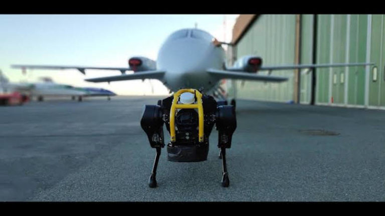 [Video] “Robot Anjing” Unjuk Gigi Tarik Pesawat!