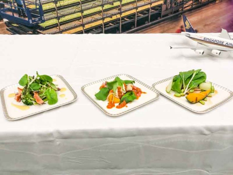 AeroFarms Punya 800 Varietas Tanaman, Singapore Airlines Bisa Sajikan Salad Segar Setiap Hari
