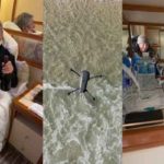 Drone-delivers-wine-coronavirus