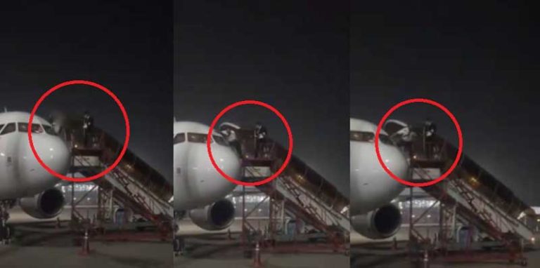 Panik Karena Corona, Pilot AirAsia Keluar Kokpit Lewat Emergency Sliding Window