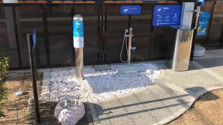 Bandara Itami Buka Toilet Eksklusif Untuk Anjing