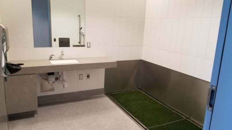 Bandara Victoria Gelontorkan Rp300 Juta Demi Toilet Khusus Hewan Peliharaan