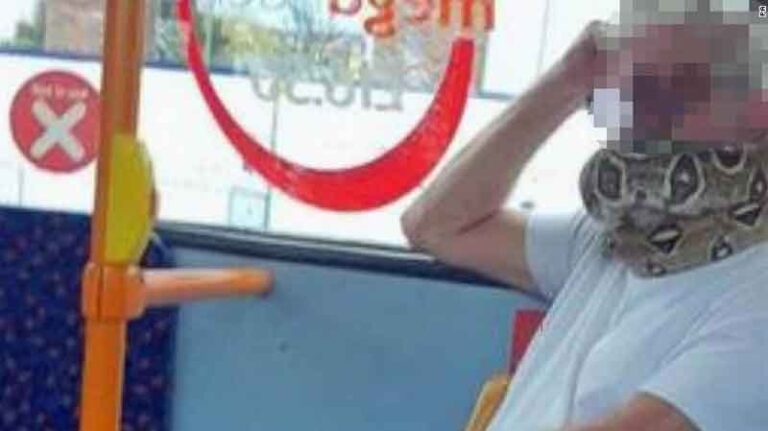 Bikin Heboh, Penumpang Bus Kota Gunakan Ular Hidup Sebagai Masker