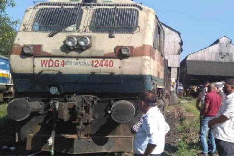 Petugas Keamanan Sita Lokomotif yang Tewaskan Dua Ekor Gajah di India