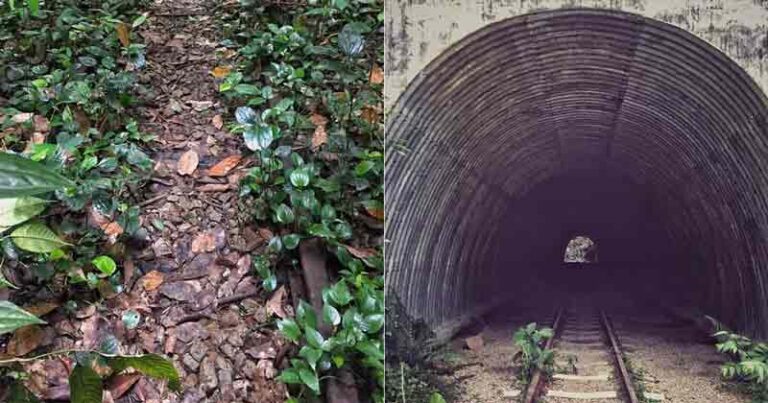 Mampir ke Singapura, Pecinta Kereta Api Jangan Lupa Telusuri Jalur Tersembunyi “The Lost Railway to Jurong”