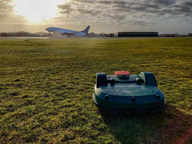 Cara Jitu Cegah Bird Strike di Sekitar Bandara, Kerahkan Robot Pemotong Rumput