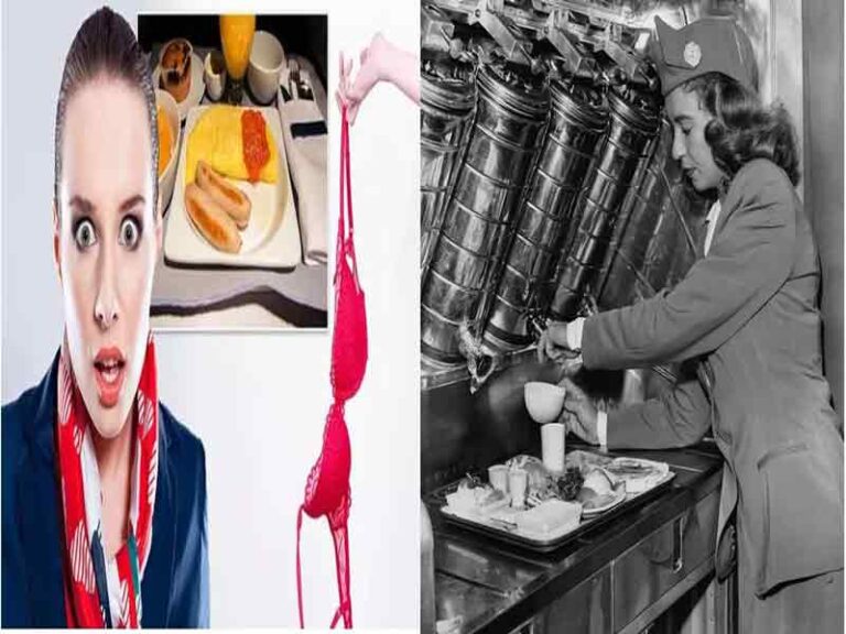 Ini Kisah Pramugari Tentang Masak Makanan di Pesawat yang Sedang Mengudara