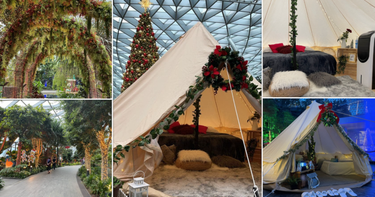 Kalau ke Bandara Changi Jangan Lupa Coba Glamour Camping