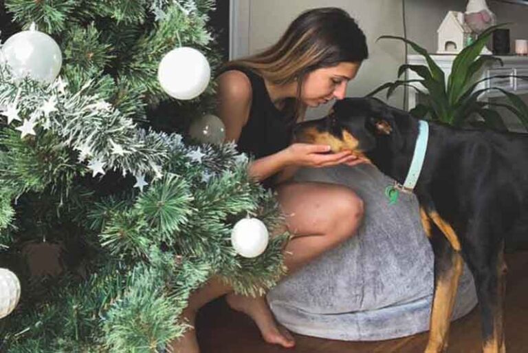 Doberman Rottweiler Cross Hilang dalam Perjalanan di Kapal Ferry Spirit of Tasmania