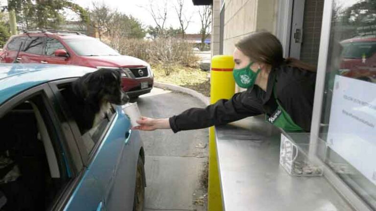 Anjing di Drive-Thru Starbucks Viral di Instagram