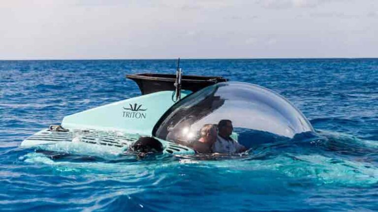 Kapal Selam ‘Transparan’ Ini Bisa Menyelam Sampai 1.000 Meter, Bisa Buat Evakuasi KRI Nanggala 402?