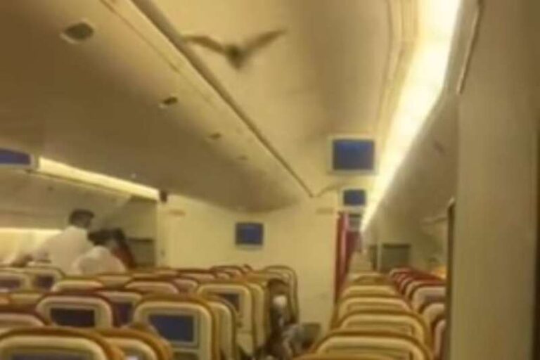 Ada Kelelawar Liar di Dalam Kabin, Boeing 777 Air India ‘Return to Base’