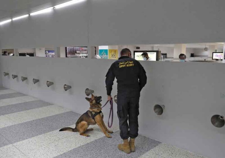 Anjing Pelacak Bantu Deteksi Penumpang Terinfeksi Covid-19