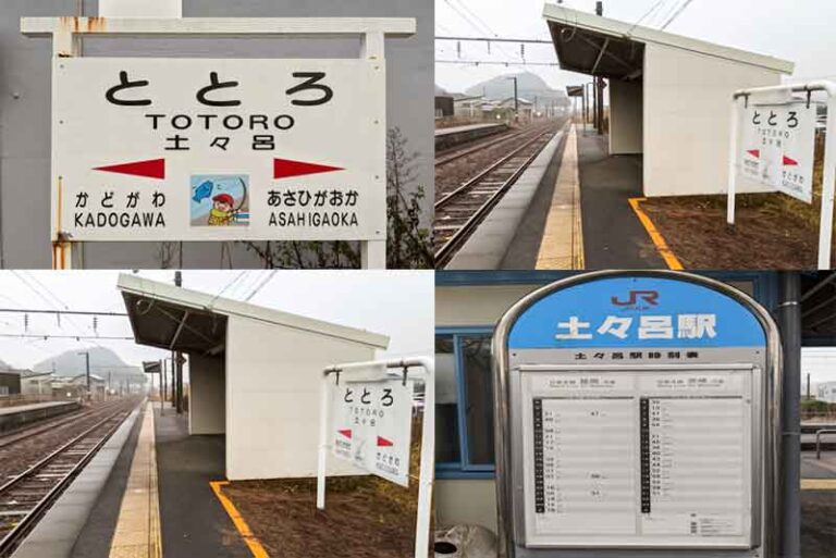 Totoro, Stasiun Kereta Tanpa ‘Raksasa Hutan’