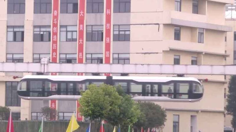 Mau Lihat Panda di Chengdu? Yuk Naik Kereta Transparan