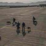 Bukan-cuma-manusia,-tetapi-anjing-pun-turut-dievakuasi-@kaalicharan