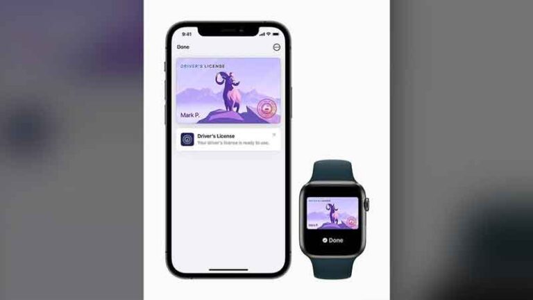 Pelancong Pengguna iPhone Tak Perlu Bawa ID di Beberapa Negara Bagian AS