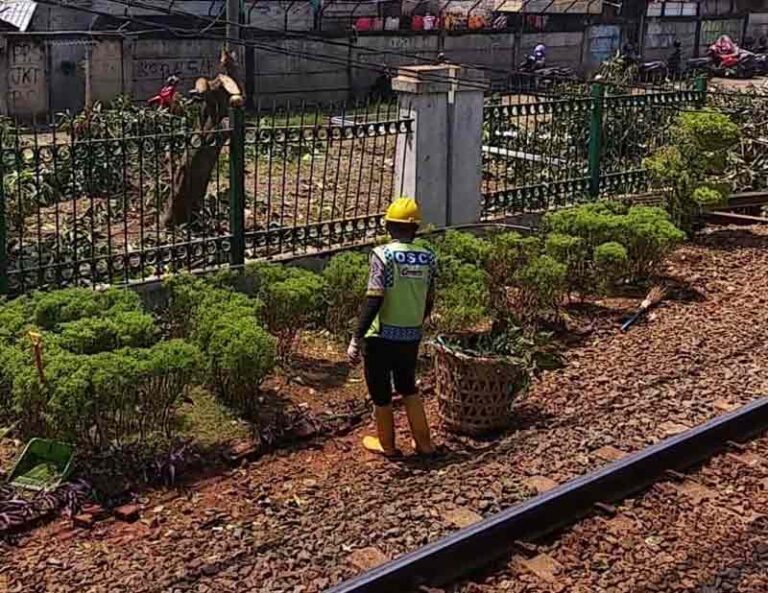 Pohon Tumbang di Stasiun Depok Ganggu Perjalanan KRL, Ada Aturan ‘Ruang Bebas’ yang Dilanggar?