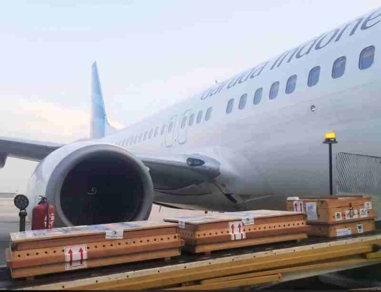 Bukan Hanya WNI, Kura-kura Juga Mendapatkan Program Repatriasi