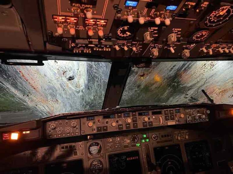 Hadapi ‘Bird Strike’, Ini Enam Langkah Wajib yang Harus Dilakukan Seorang Pilot
