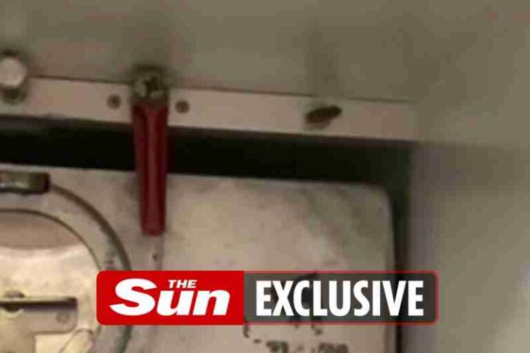 Kecoa Bikin Geger British Airways, Ditemukan di Area Penyimpanan Makanan di Kabin