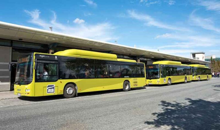 Genjot Teknologi Ramah Lingkungan, Mesir Operasikan Bus Bertenaga Gas Alam di 2022