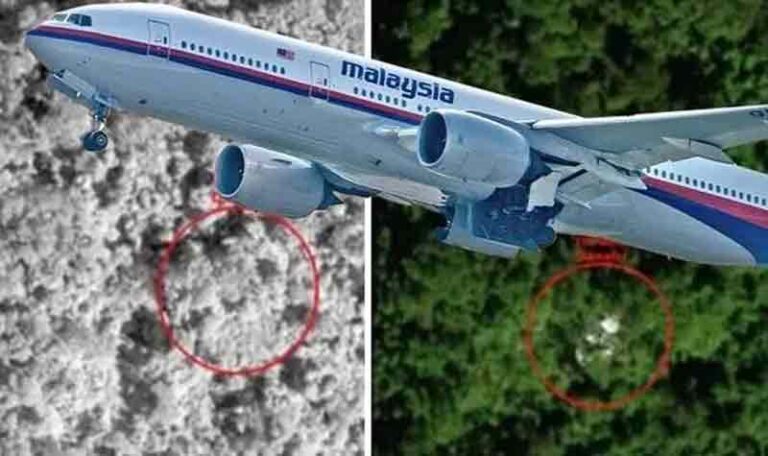 Satelit AS Temukan Pesawat MH370 di Hutan Kamboja! Cina dan Rusia Turun Tangan