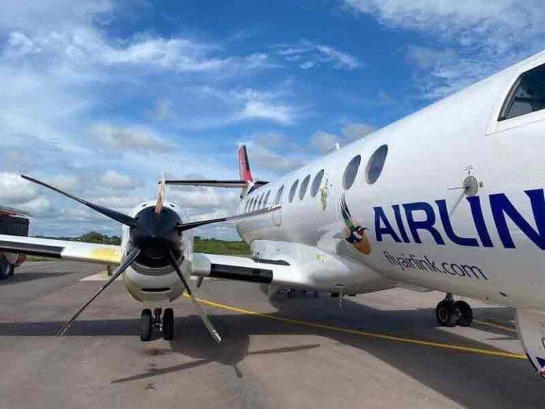 Ini Bagian Pesawat yang Paling Sering Terkena Bird Strike