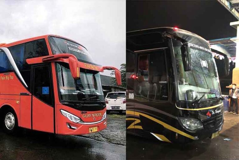 Era Bus Single Glass Kembali Terlihat Jelas