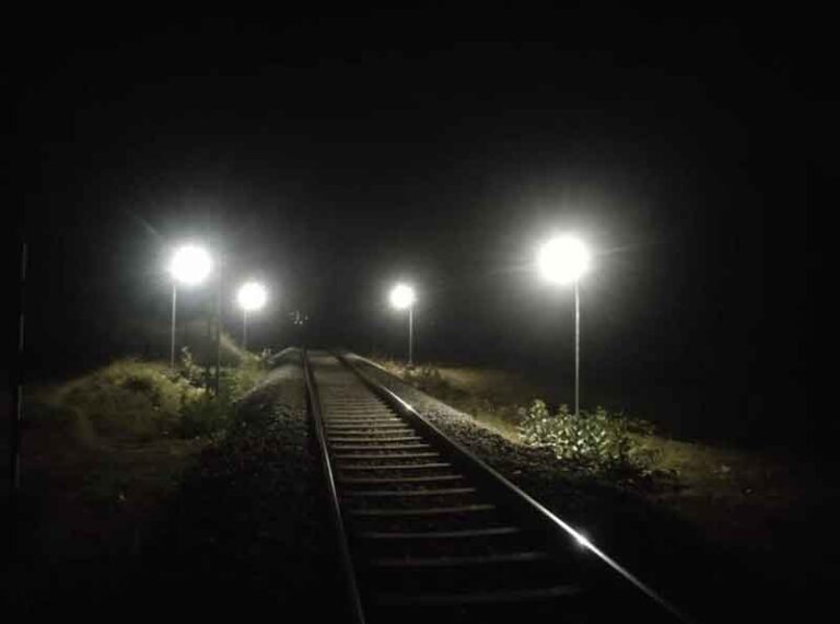 Operator Kereta di India Tak Bisa Kurangi Kecepatan Untuk Mencegah Kematian Gajah
