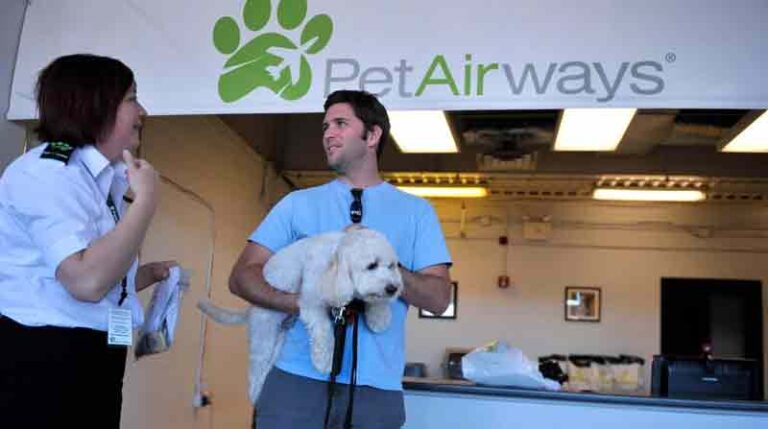 Inilah Pet Airways, Maskapai Penerbangan Khusus Hewan