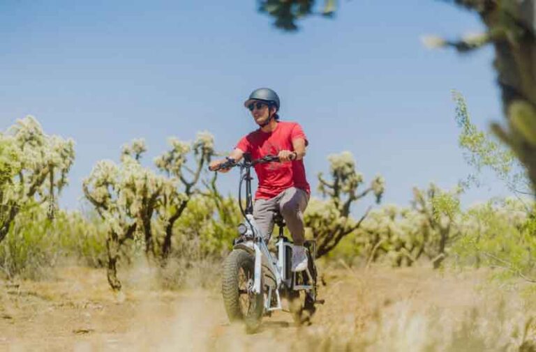 Elektrik Bike milik Lectric Pengangkut Kargo Lipat Pengganti Mobil