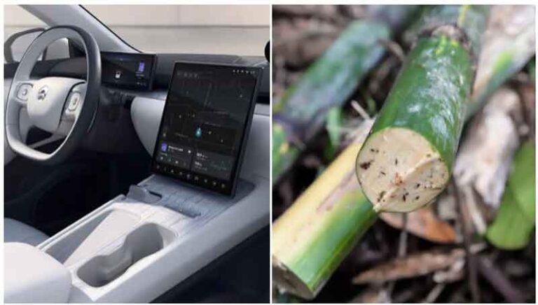 Rotan Asal Indonesia Jadi Bahan Interior Mobil Listrik ET7 Besutan  Pabrikan Cina