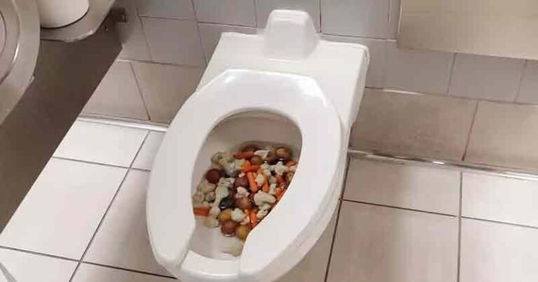 Bikin Kaget Penumpang, Toilet Bandara Ini Isinya Sayuran: Mungkin Ada yang Ingin Masak